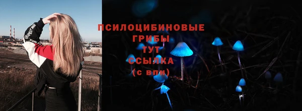 СК Волосово