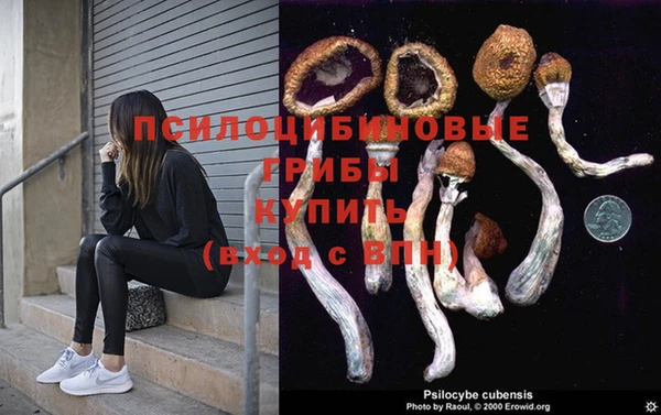 СК Волосово